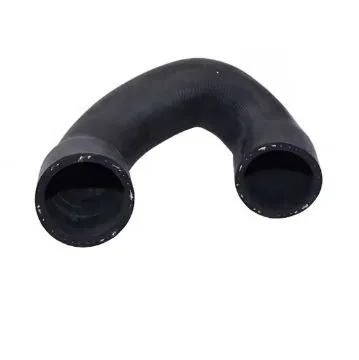 BMW Coolant Hose - Kingstream
