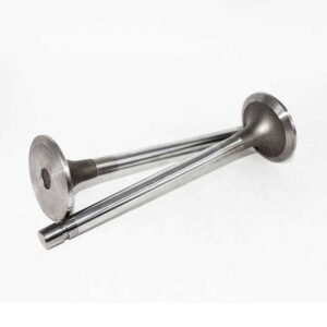 Forklift Spare Parts Construction Diesel Engines K19 K38 Exhaust Valve 3088391 20 Order from Kingstream