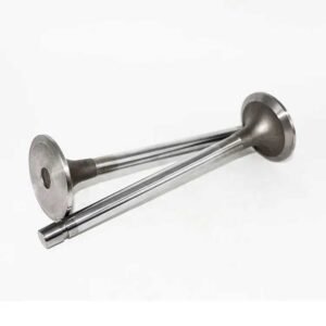 Forklift Spare Parts KTA19 QSK19 Intake Valve 3052820 diesel Engine Parts Order from Kingstream