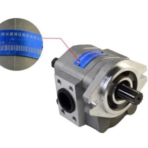 Forklift Parts A45E7-10301 Hydraulic Pump CPCD50-100 - Kingstream
