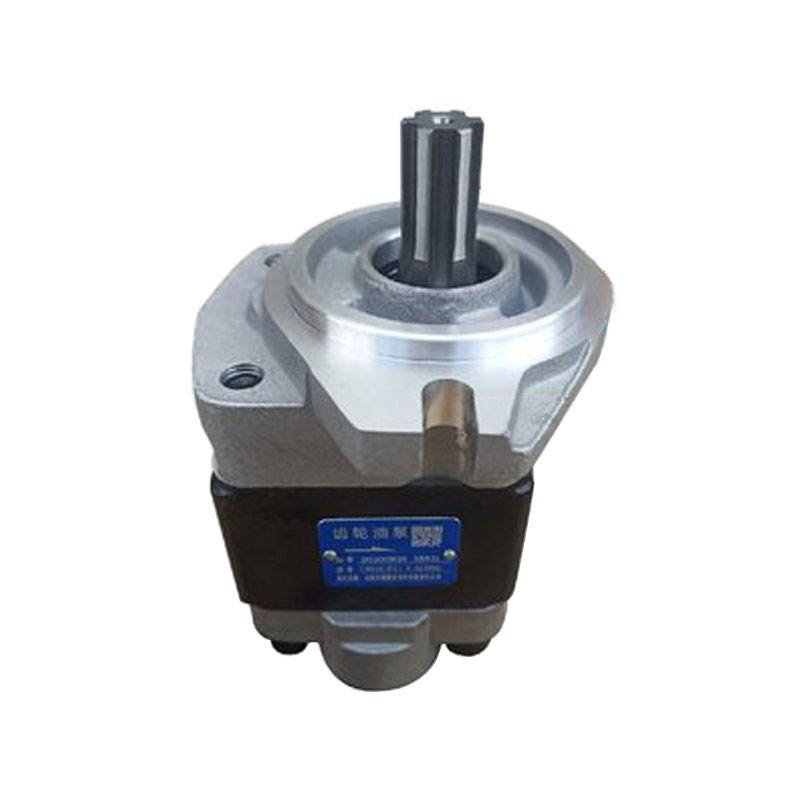 Forklift Spare Parts Hydraulic Pump CBHZF31.5ALH6L-YYJP H2000 Forklift Gear Pump Order from Kingstream